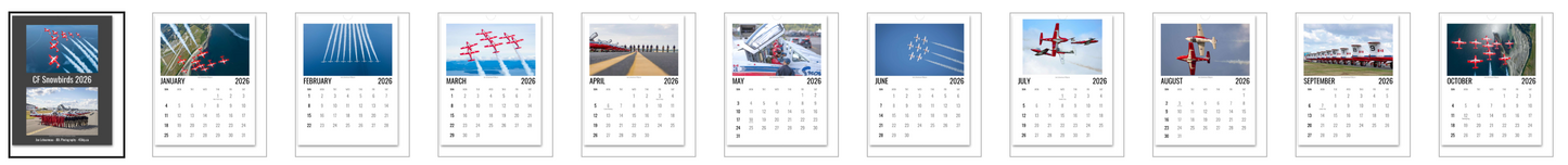 CF Snowbirds 2026 - Single Sided Letter Size Wall Calendar 2026