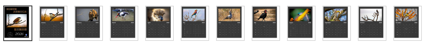 South Africa Birds 2026 Wall Calendar – 8.5" x 11" Letter Size