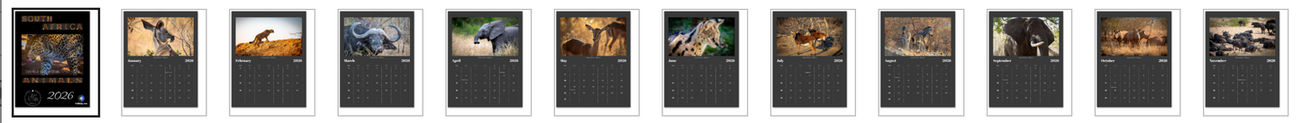 South Africa Animals 2026 Wall Calendar – 8.5" x 11" Letter Size