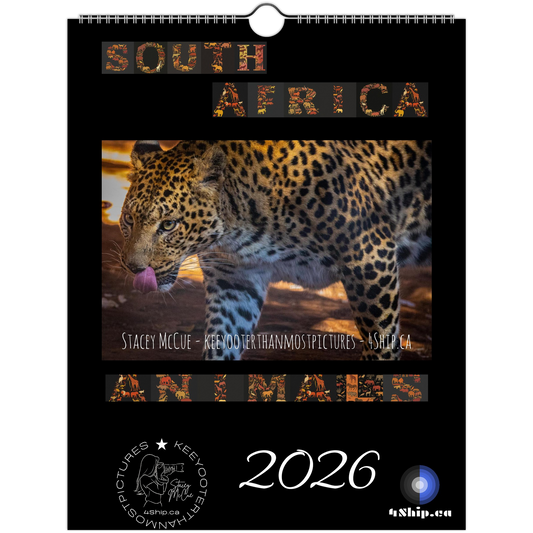 02fe8db0-5e5c-48ef-a185-def2a7cedd16