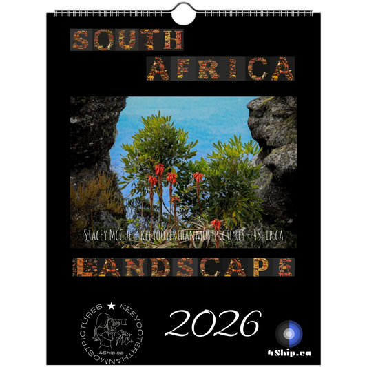 4dba9875-014e-4e87-a4dd-5125d7a4c37c