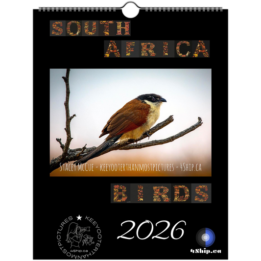 6cf10266-c53a-4395-bcbb-d730daeef567